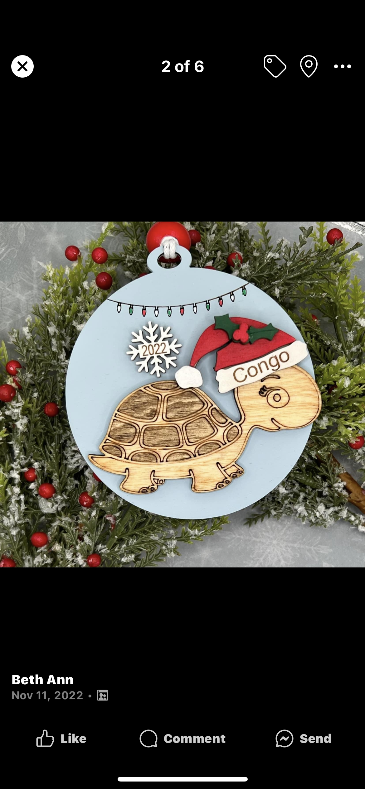 Bearded dragon, tortoise/turtle, guinea pig, rabbit ornament